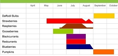 Hendrewennol fruit picking season chart