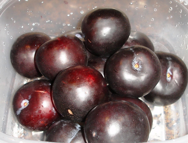 Plums